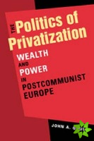 Politics of Privatization