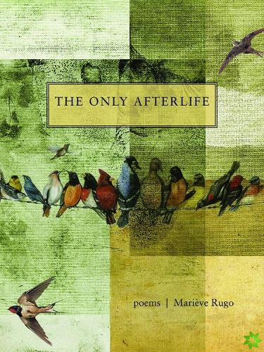 Only Afterlife