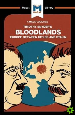 Analysis of Timothy Snyder's Bloodlands
