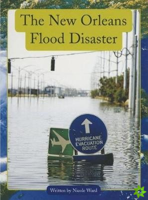 Springboard Upper: New Orleans Flood Disa