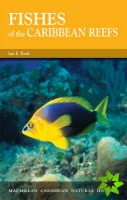 Fishes of the Caribbean Reefs