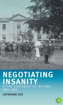 Negotiating Insanity in the Southeast of Ireland, 18201900