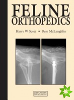 Feline Orthopedics
