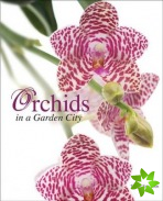 Orchids in a Garden City