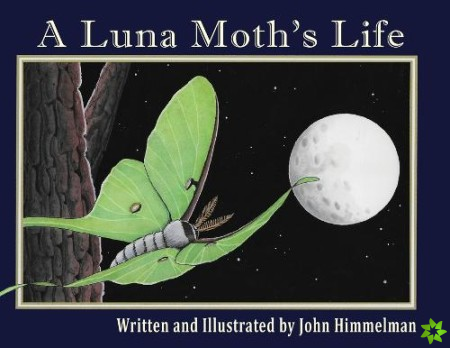 Luna Moth's Life