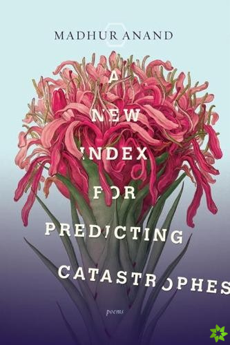 New Index for Predicting Catastrophes