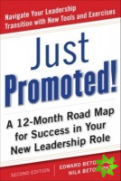 Just Promoted! A 12-Month Road Map for Success in Your New Leadership Role, Second Edition