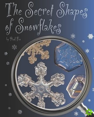 Secret Shapes of Snowflakes