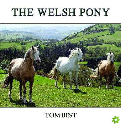 History of the Welsh Pony
