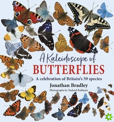 Kaleidoscope of Butterflies