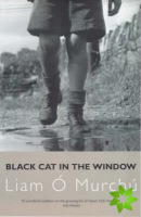 Black Cat in the Window