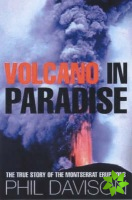 Volcano in Paradise