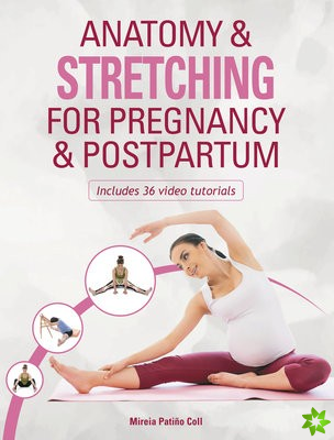 Anatomy & Stretching for Pregnancy & Postpartum