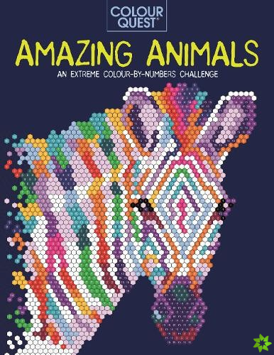 Colour Quest: Amazing Animals