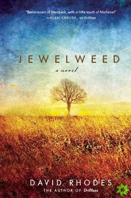Jewelweed