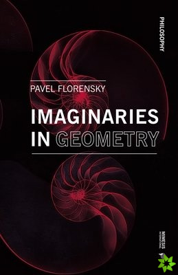 Imaginaries in Geometry