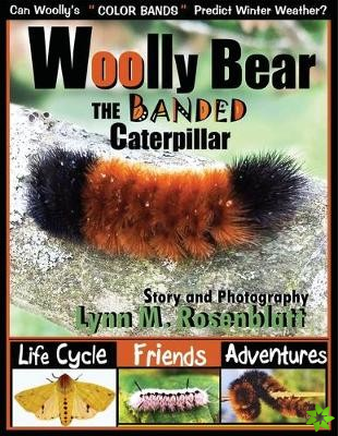 Woolly Bear the Banded Caterpillar