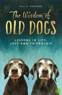 Wisdom of Old Dogs
