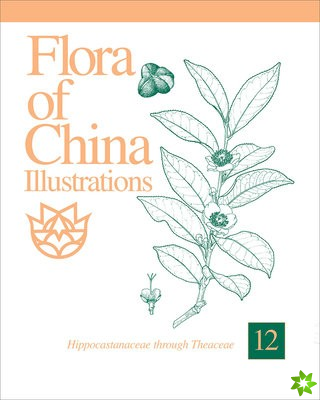 Flora of China Illustrations, Volume 12 - Hippocastanaceae through Theaceae