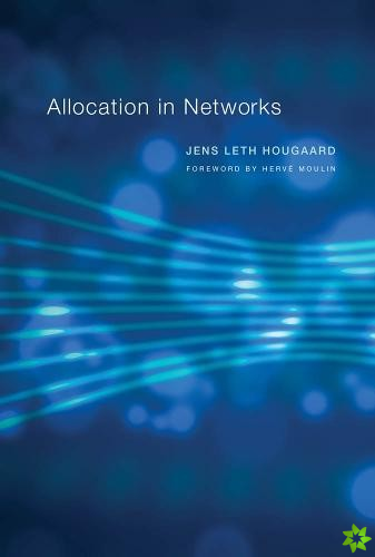Allocation in Networks