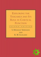 Exploring the Thalamus and Its Role in Cortical Function