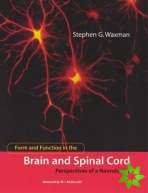 Form and Function in the Brain and Spinal Cord