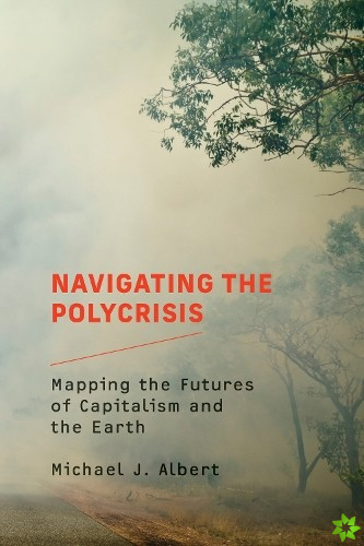 Navigating the Polycrisis