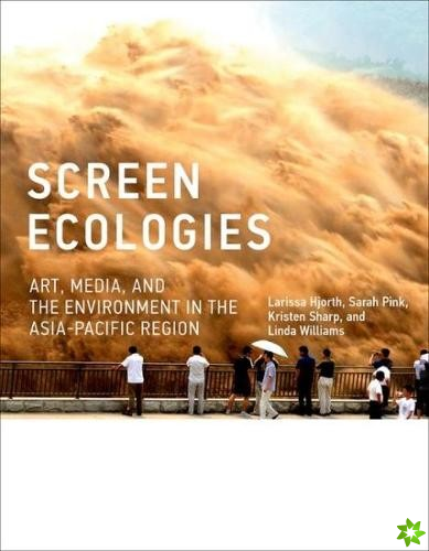 Screen Ecologies