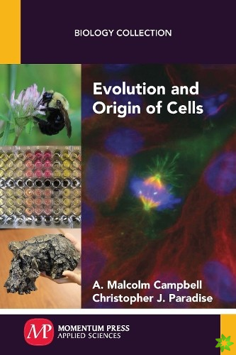 Evolution and Origin of Cells