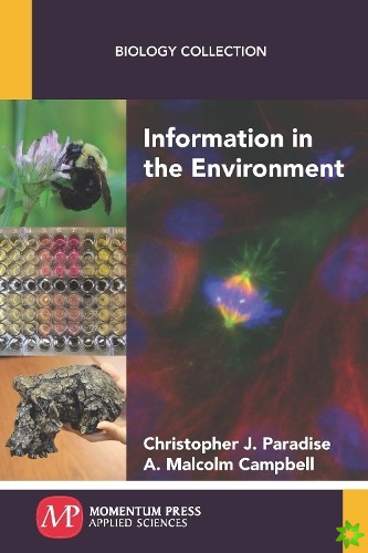 Information in the Environment