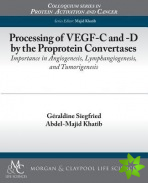 Processing of VEGF-C and -D by the Proprotein Convertases