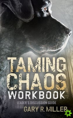 Taming Chaos Workbook