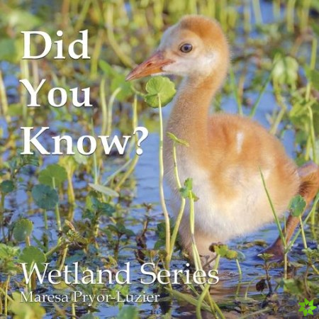 Did You Know? Wetland Series