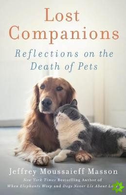 Lost Companions