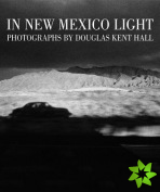 In New Mexico Light