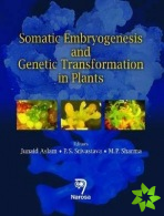 Somatic Embryogenesis and Genetic Transformation in Plants