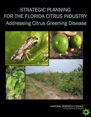 Strategic Planning for the Florida Citrus Industry