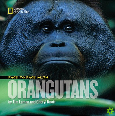 Face to Face with Orangutans