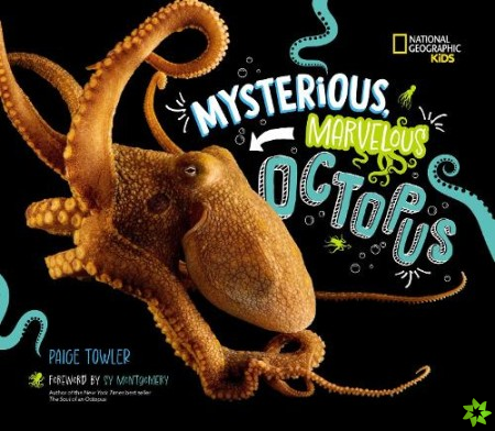 Mysterious, Marvelous Octopus!
