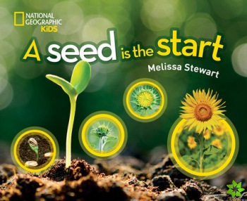 Seed is the Start