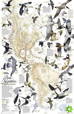 Bird Migration, Western Hemisphere, Tubed