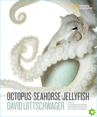 Octopus, Seahorse, Jellyfish