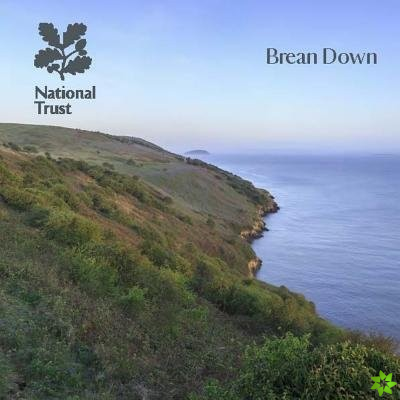 Brean Down
