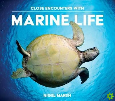 Close Encounters with Marine Life
