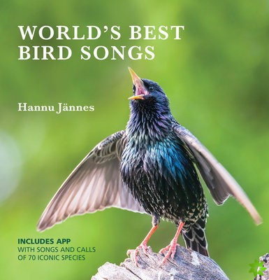 WORLD'S BEST BIRD SONGS