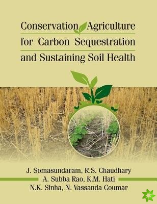 Conservation Agriculture for Carbon Sequestration and Sustaining Soil Health
