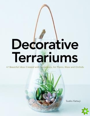 Decorative Terrariums