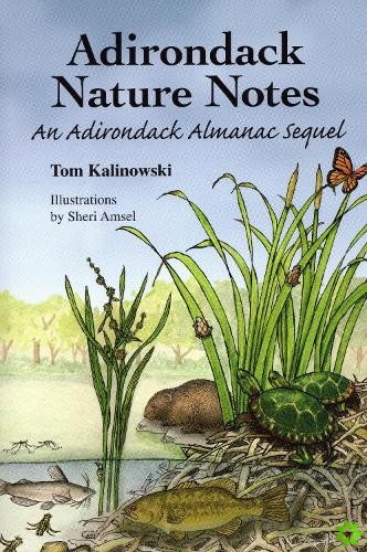 Adirondack Nature Notes