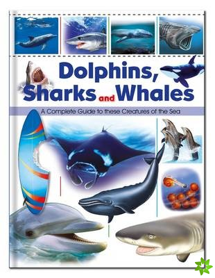 Dolphins, Sharks & Whales