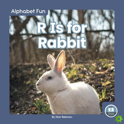 Alphabet Fun: R is for Rabbit